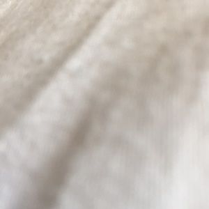 Meet your Posher, Sylvia